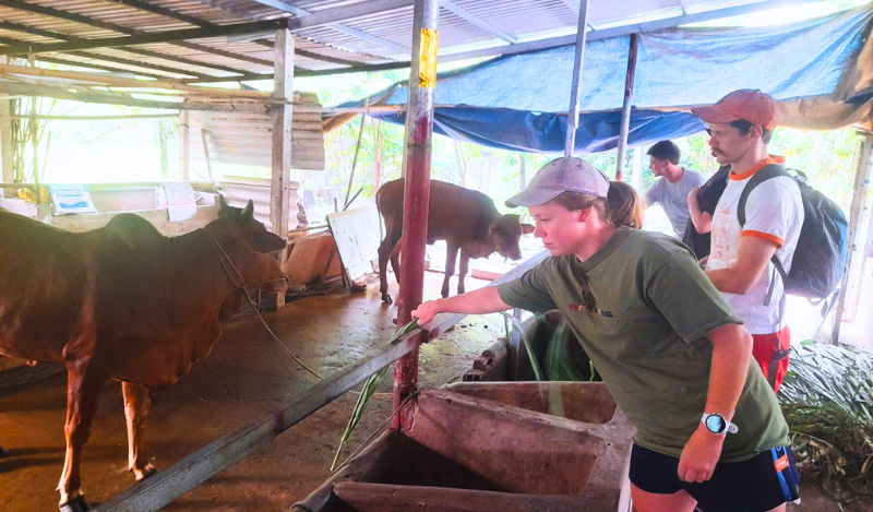 Hành Trình Làm Nông & Nấu Bữa Cơm Nhà (3)